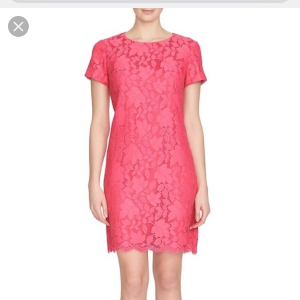 Kayte Short Sleeve Palm Lace Shift Dress